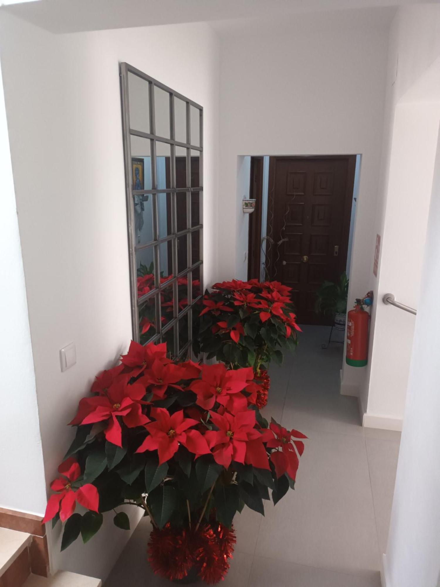 Casa San Mateo Lejlighed Córdoba Eksteriør billede