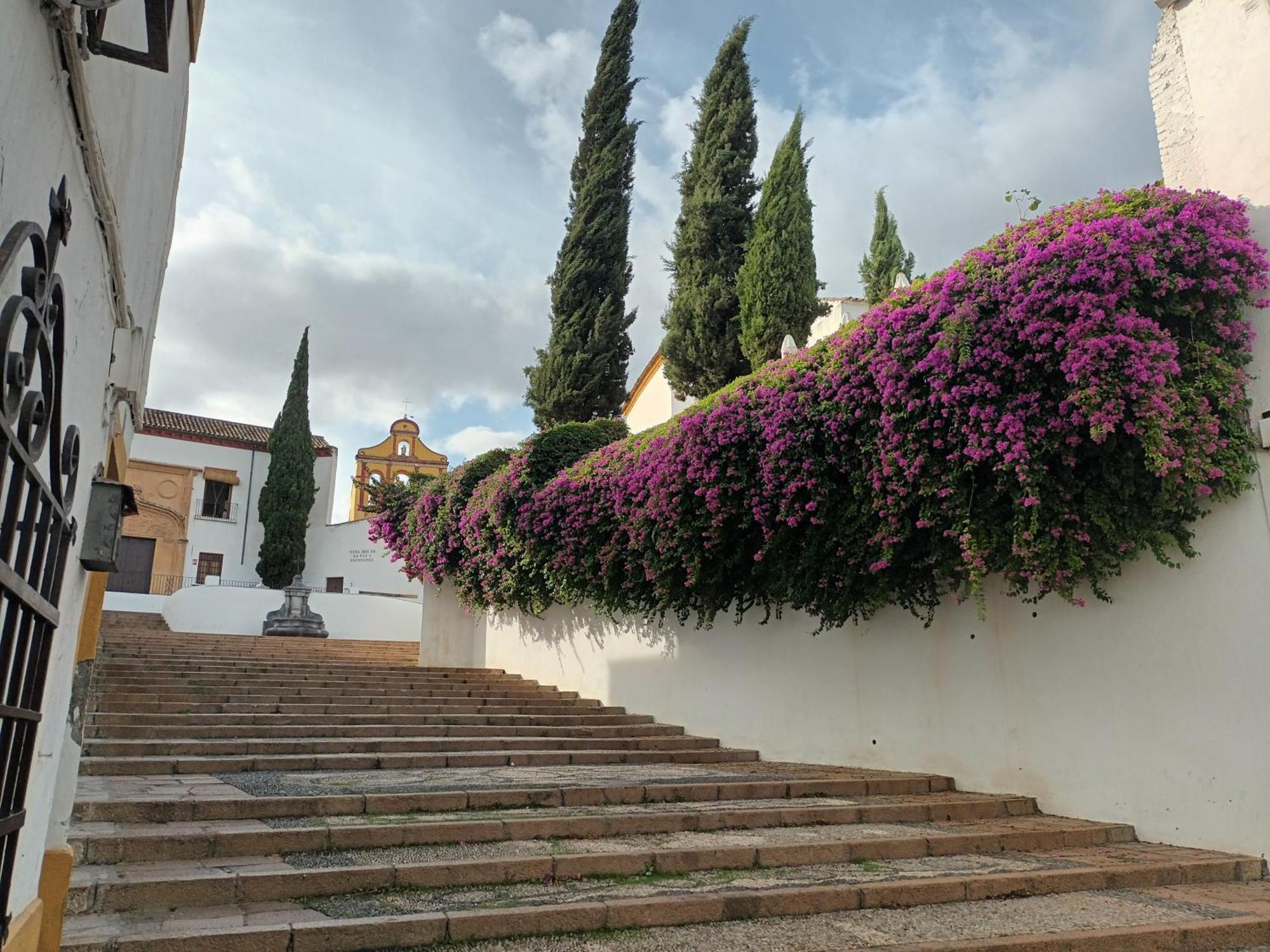 Casa San Mateo Lejlighed Córdoba Eksteriør billede
